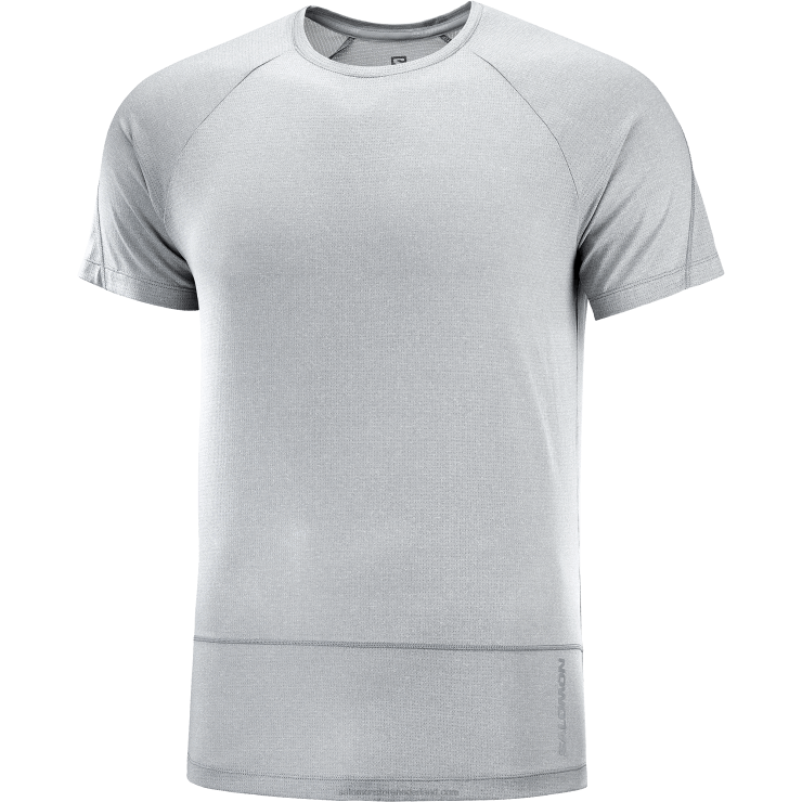 heren T-shirt met korte mouwen - cross run Salomon 22DD8239 legering/heide