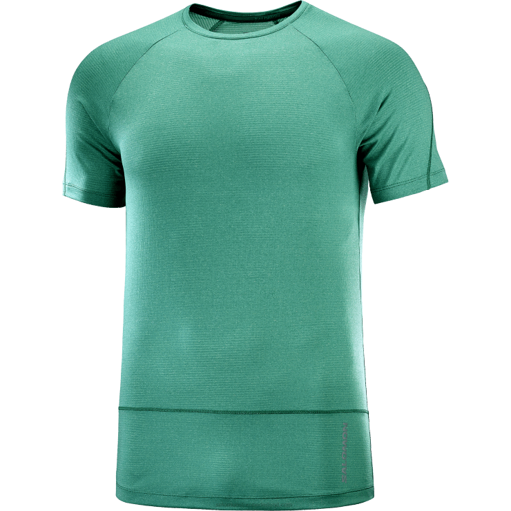 heren T-shirt met korte mouwen - cross run Salomon 22DD8241 Stille Oceaan / heide