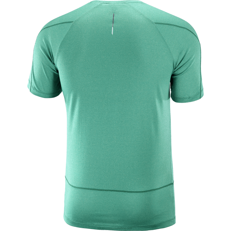 heren T-shirt met korte mouwen - cross run Salomon 22DD8241 Stille Oceaan / heide