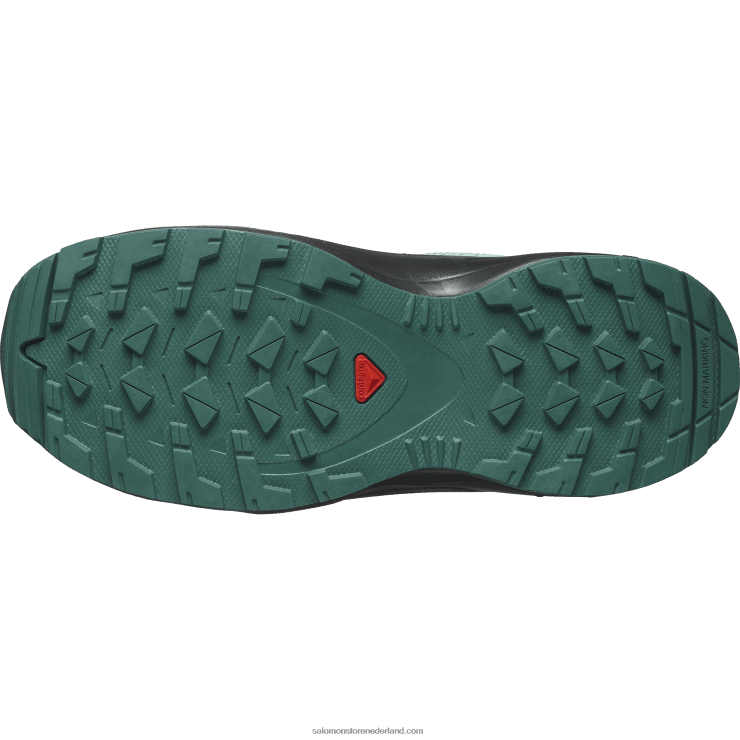 junior - kinderschoenen - xa pro v8 Salomon 22DD81358 stargazer/zwart/blauwe uitstraling