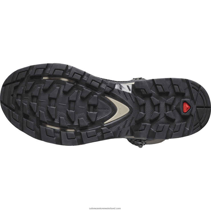 leren wandelschoenen voor dames - quest element gore-tex Salomon 22DD81136 ebbenhout/regenachtige dag/stormachtig weer