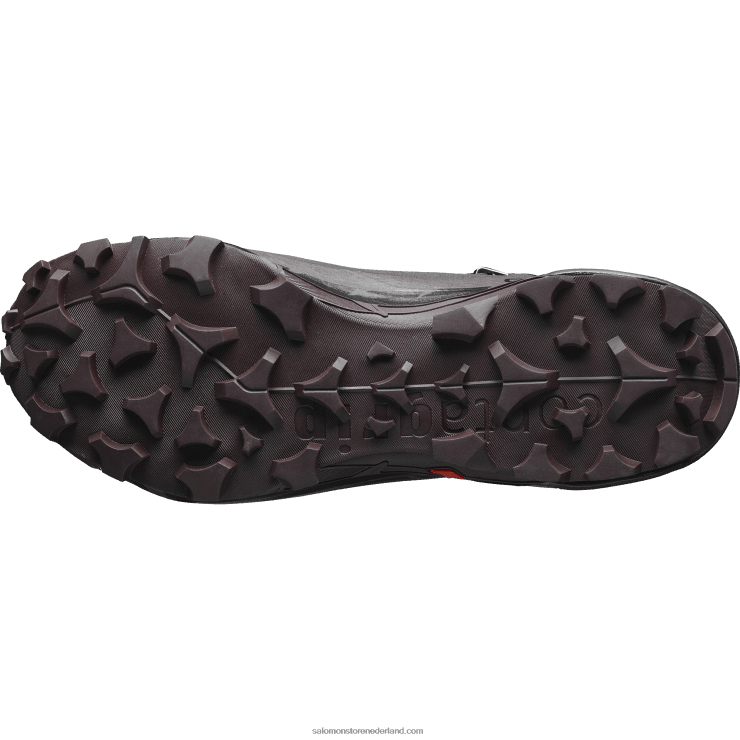 wandelschoenen voor dames - crosshike 2 mid gore-tex Salomon 22DD8735 zwart/chocolade pruim