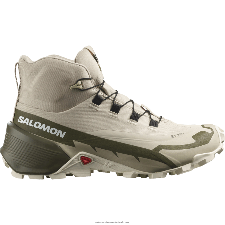 wandelschoenen voor dames - crosshike 2 mid gore-tex Salomon 22DD8736 veer grijs/olijf nacht/wit