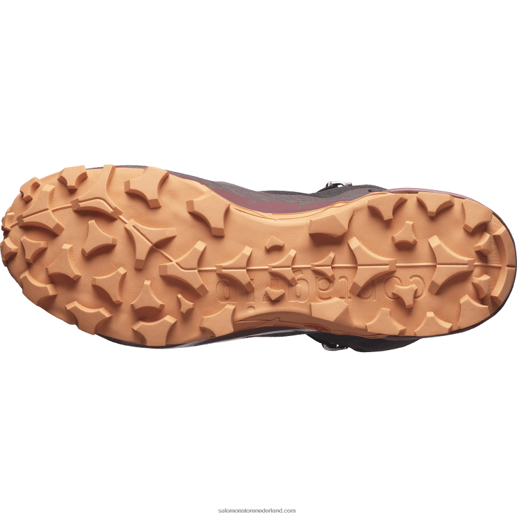 wandelschoenen voor dames - crosshike 2 mid gore-tex Salomon 22DD8737 leisteen/wilde gember/koraal goud