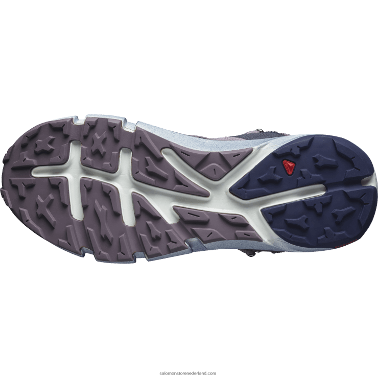 wandelschoenen voor dames - predict hike mid gore-tex Salomon 22DD81131 kwartel/nachtelijke hemel/astrale aura