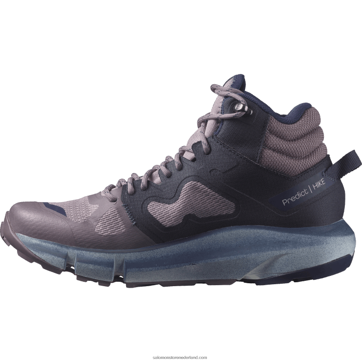 wandelschoenen voor dames - predict hike mid gore-tex Salomon 22DD81131 kwartel/nachtelijke hemel/astrale aura