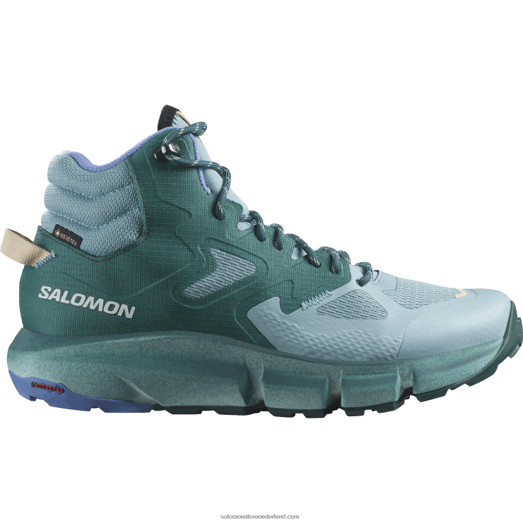 wandelschoenen voor dames - predict hike mid gore-tex Salomon 22DD81132 steenblauw/atlantisch diep/granada sky