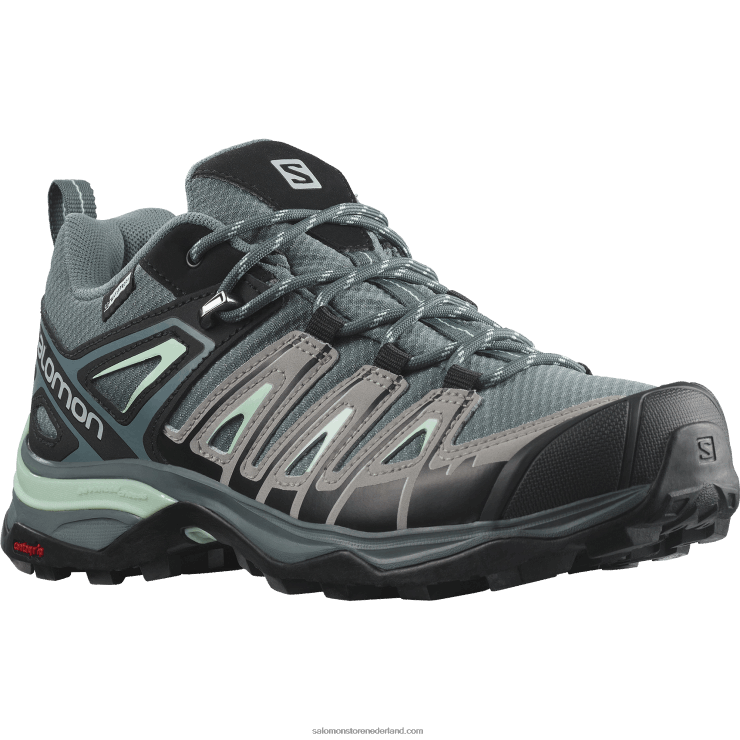 wandelschoenen voor dames - x ultra pioneer clima waterdicht Salomon 22DD81130 stormachtig weer/legering/yucca