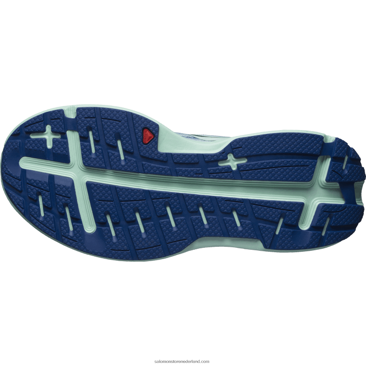 hardloopschoenen voor dames - aero glide Salomon 22DD81151 parelblauw/yucca/clematisblauw