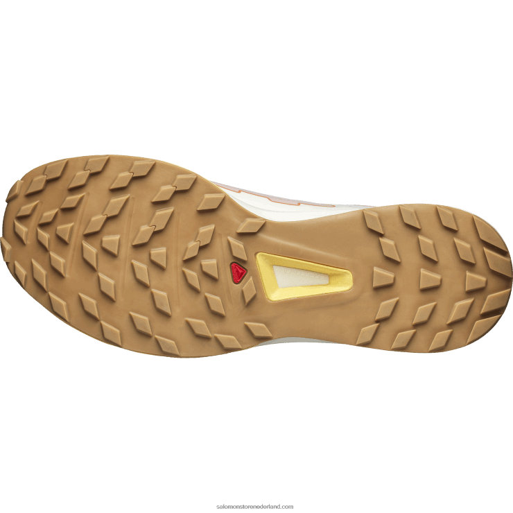 sportschoenen voor dames - ultra raid Salomon 22DD8777 morganiet/vanille-ijs/zonnekus