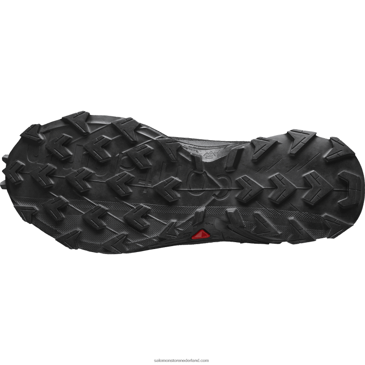 hardloopschoenen voor dames - alphacross 4 gore-tex Salomon 22DD81530 zwart