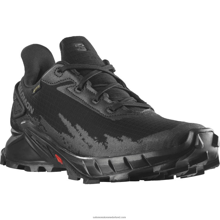 hardloopschoenen voor dames - alphacross 4 gore-tex Salomon 22DD81530 zwart