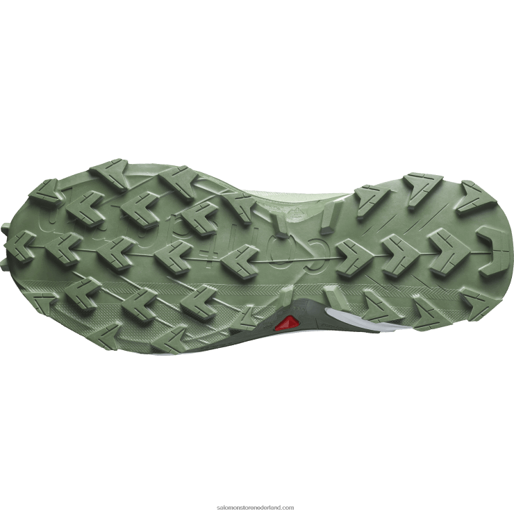 hardloopschoenen voor dames - alphacross 4 gore-tex Salomon 22DD81531 woestijnsalie/wit/laurierkrans