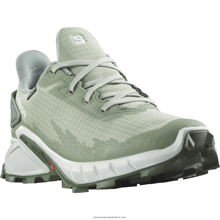 hardloopschoenen voor dames - alphacross 4 gore-tex Salomon 22DD81531 woestijnsalie/wit/laurierkrans