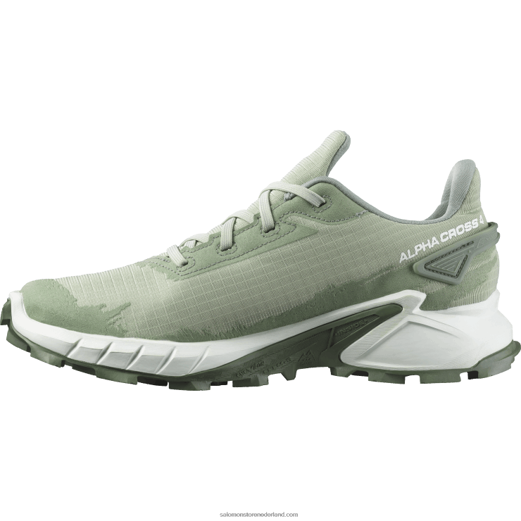 hardloopschoenen voor dames - alphacross 4 gore-tex Salomon 22DD81531 woestijnsalie/wit/laurierkrans