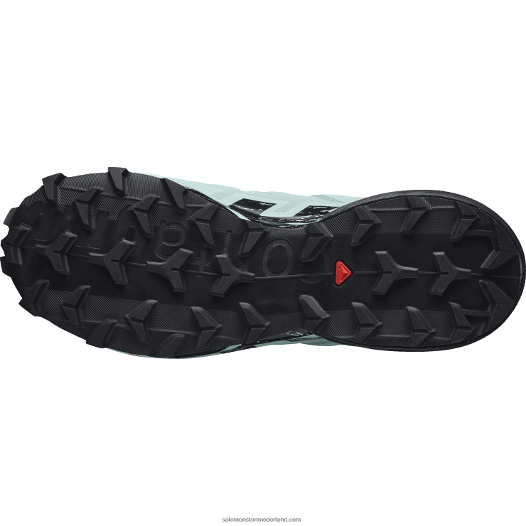 trailrunning damesschoenen - speedcross 6 gore-tex Salomon 22DD81517 aquifer/zwart/yucca