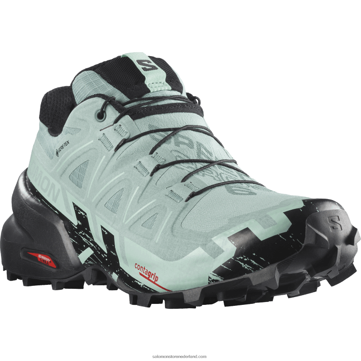 trailrunning damesschoenen - speedcross 6 gore-tex Salomon 22DD81517 aquifer/zwart/yucca