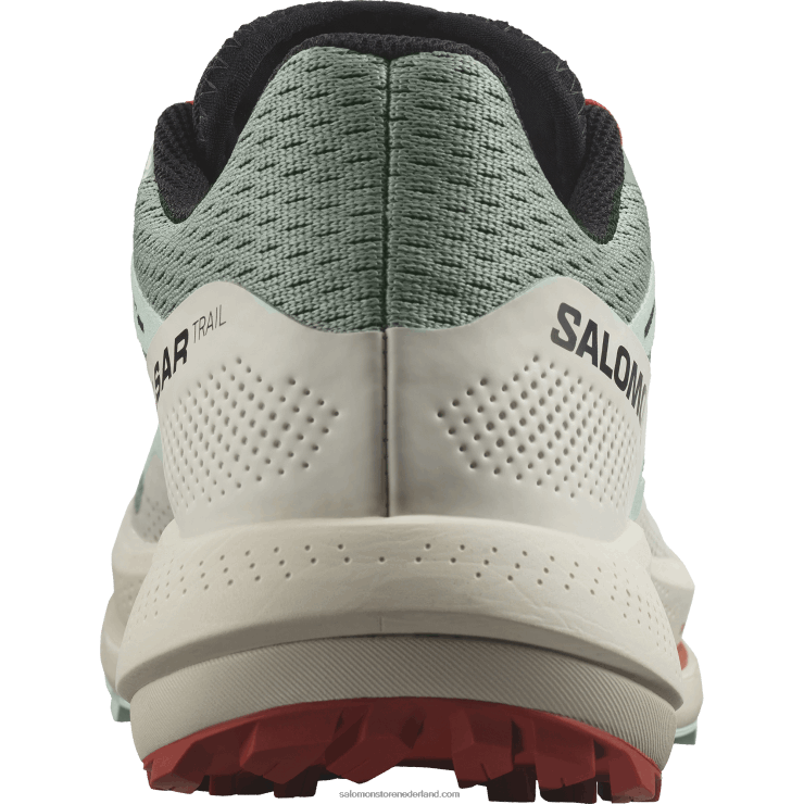 trailrunningschoenen voor dames - pulsar trail Salomon 22DD81514 lelieblad/gebleekte aqua/hete saus