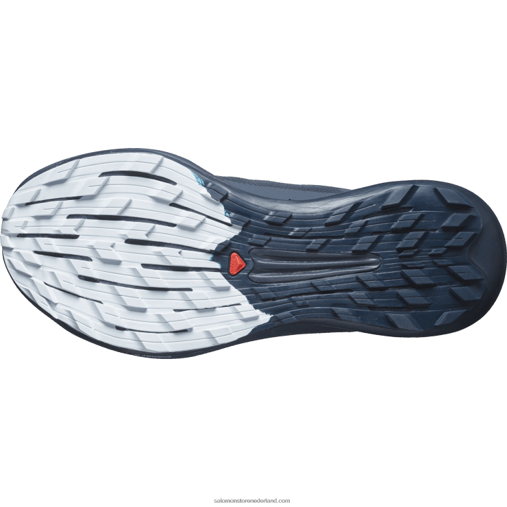 trailrunningschoenen voor dames - pulsar trail pro 2 Salomon 22DD81493 koolstof/orchideeënbloei/arctisch ijs