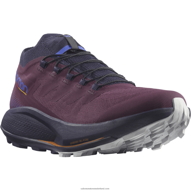 trailrunningschoenen voor dames - pulsar trail pro Salomon 22DD81532 druivenwijn/nachthemel/maanrots