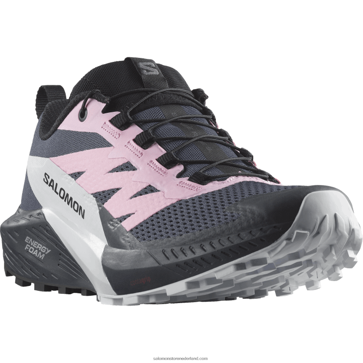 trailrunningschoenen voor dames - sense ride 5 Salomon 22DD81495 Oost-Indische inkt/lila zakje/arctisch ijs