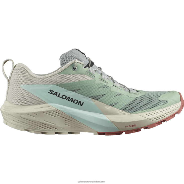 trailrunningschoenen voor dames - sense ride 5 Salomon 22DD81496 lelieblad/regenachtige dag/gebleekte aqua