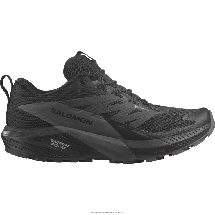 trailrunningschoenen voor dames - sense ride 5 gore-tex Salomon 22DD81527 zwart/magneet