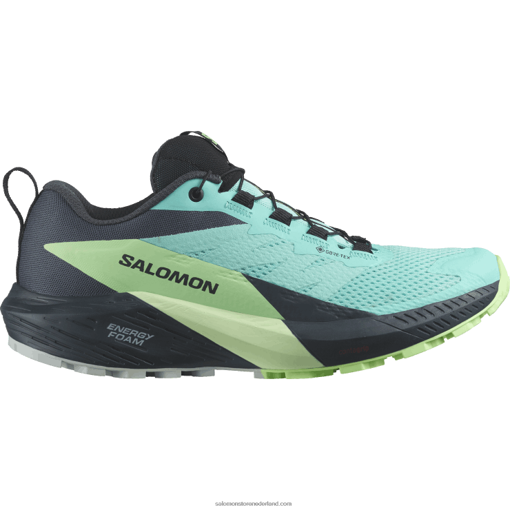 trailrunningschoenen voor dames - sense ride 5 gore-tex Salomon 22DD81528 blauwe uitstraling/groene as/oostindische inkt