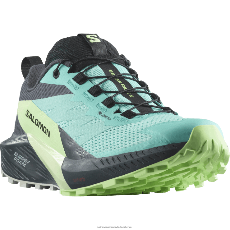 trailrunningschoenen voor dames - sense ride 5 gore-tex Salomon 22DD81528 blauwe uitstraling/groene as/oostindische inkt