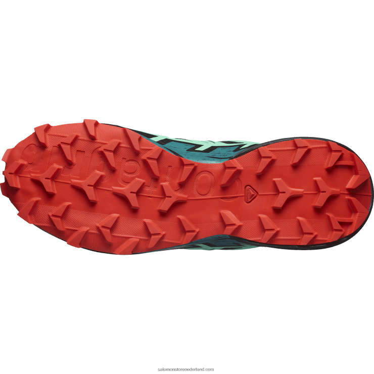 trailrunningschoenen voor dames - speedcross 6 Salomon 22DD81503 zwart/biscay groen/vurig rood