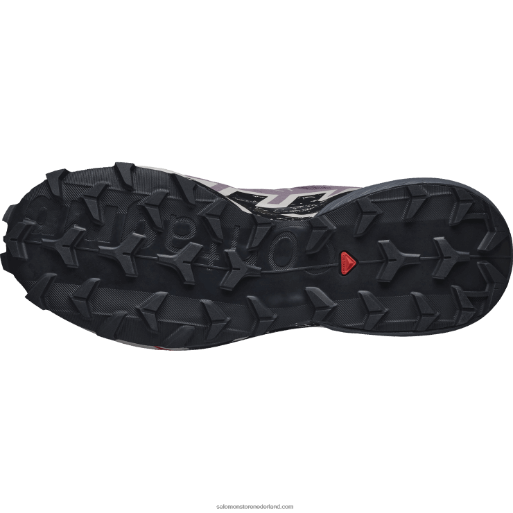 trailrunningschoenen voor dames - speedcross 6 Salomon 22DD81504 maanlandschap/zwart/as van rozen
