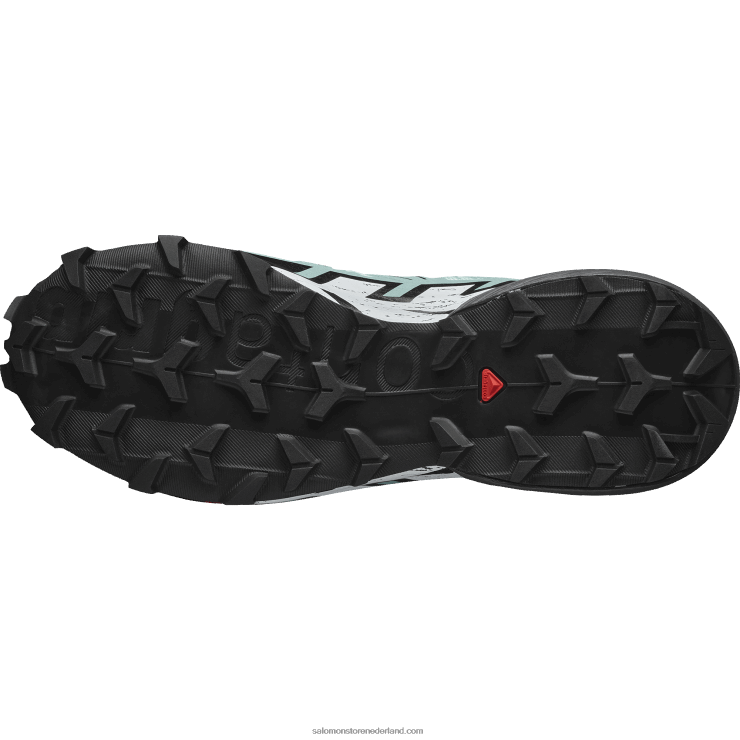 trailrunningschoenen voor dames - speedcross 6 Salomon 22DD81505 yucca/ebbenhout/wit