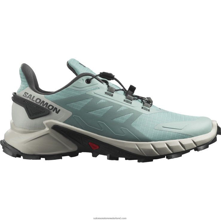 trailrunningschoenen voor dames - supercross 4 Salomon 22DD81543 watervoerende laag/maangesteente/ebbenhout
