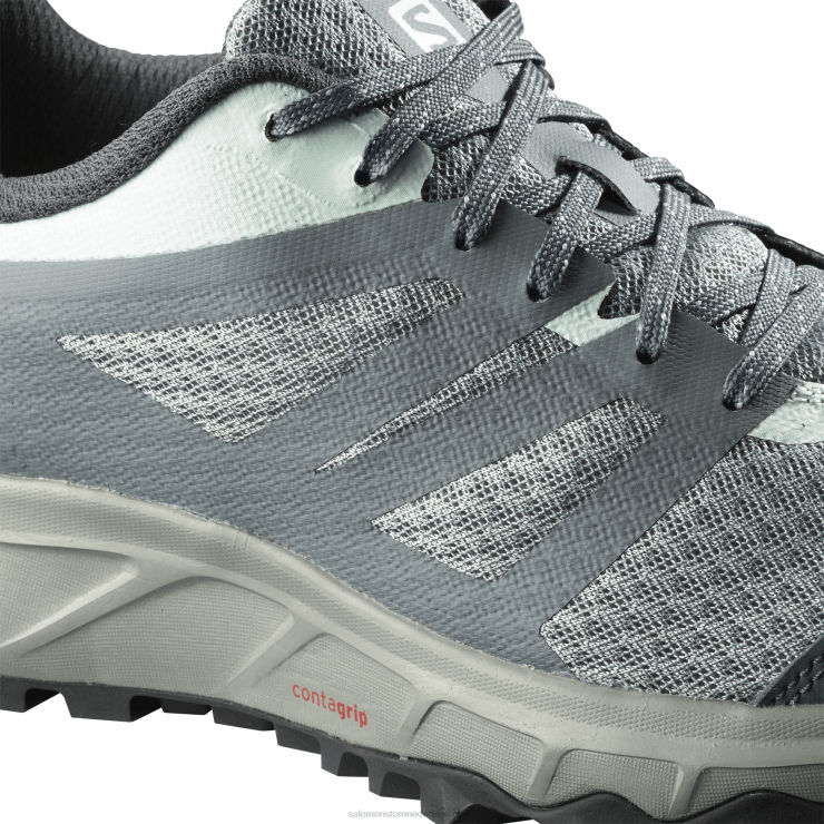 trailrunningschoenen voor dames - trailster 2 Salomon 22DD81547 lood/stormachtig weer/ijzige morgen