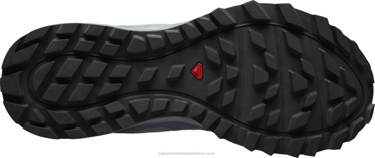 trailrunningschoenen voor dames - trailster 2 Salomon 22DD81547 lood/stormachtig weer/ijzige morgen