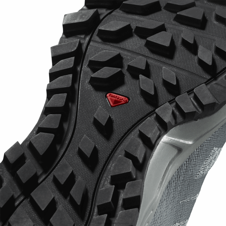 trailrunningschoenen voor dames - trailster 2 Salomon 22DD81547 lood/stormachtig weer/ijzige morgen