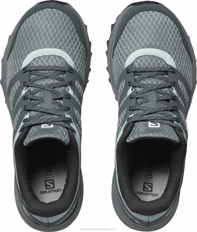 trailrunningschoenen voor dames - trailster 2 Salomon 22DD81547 lood/stormachtig weer/ijzige morgen