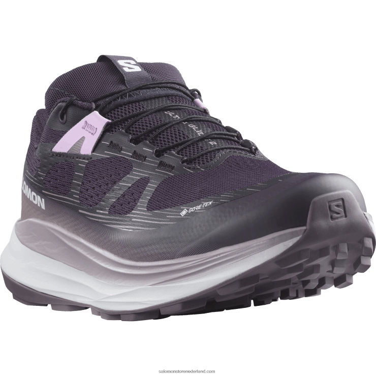 trailrunningschoenen voor dames - ultra glide 2 gore-tex Salomon 22DD81520 nachtschade/wit/maanlandschap