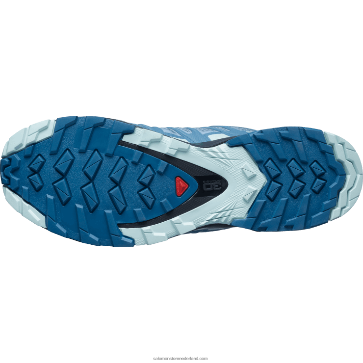 trailrunningschoenen voor dames - xa pro 3d v8 Salomon 22DD81535 ashley blauw/ebbenhout/opaalblauw