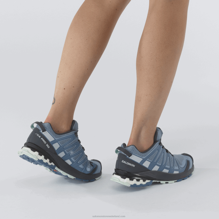 trailrunningschoenen voor dames - xa pro 3d v8 Salomon 22DD81535 ashley blauw/ebbenhout/opaalblauw