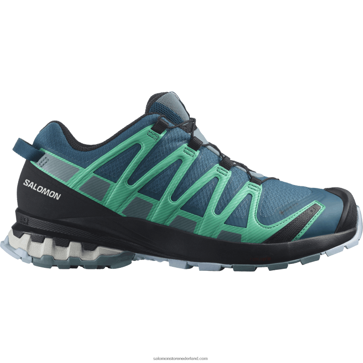 trailrunningschoenen voor dames - xa pro 3d v8 gore-tex Salomon 22DD81539 legioenblauw/trooper/mintblad
