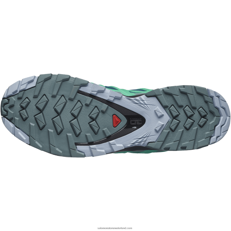 trailrunningschoenen voor dames - xa pro 3d v8 gore-tex Salomon 22DD81539 legioenblauw/trooper/mintblad