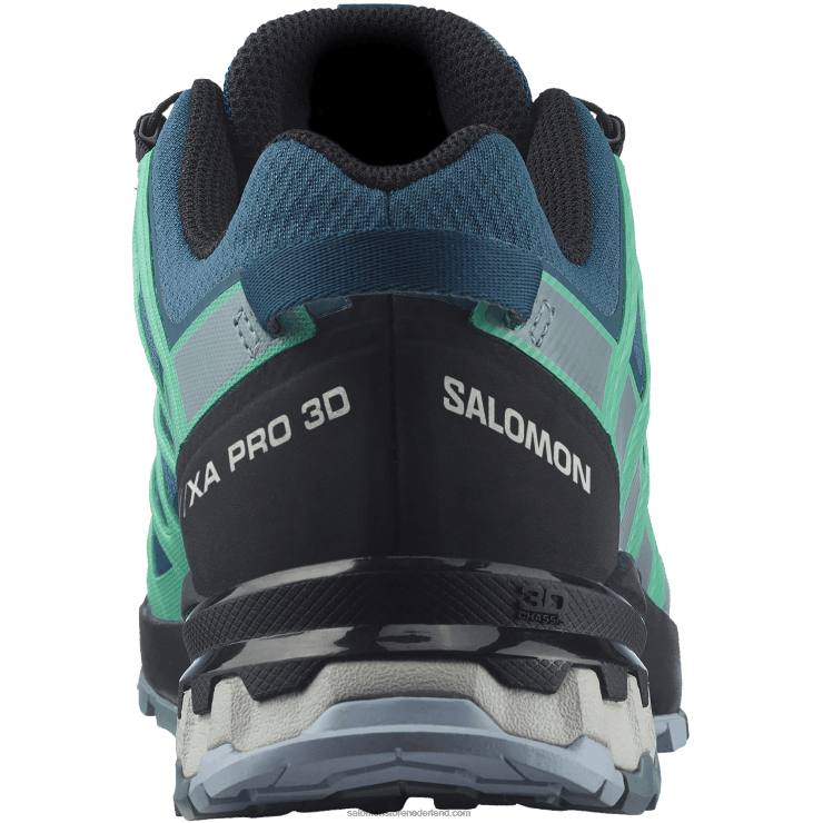 trailrunningschoenen voor dames - xa pro 3d v8 gore-tex Salomon 22DD81539 legioenblauw/trooper/mintblad