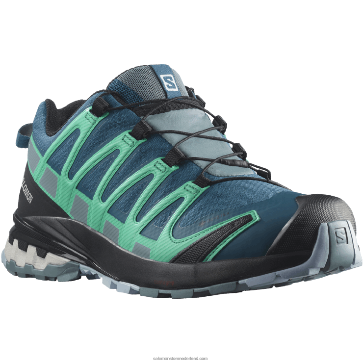 trailrunningschoenen voor dames - xa pro 3d v8 gore-tex Salomon 22DD81539 legioenblauw/trooper/mintblad