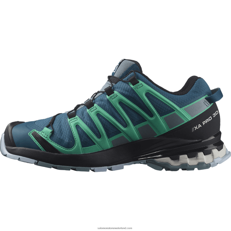 trailrunningschoenen voor dames - xa pro 3d v8 gore-tex Salomon 22DD81539 legioenblauw/trooper/mintblad